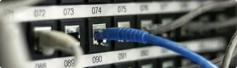 Patchpanel mit nummerierten Ports und eingestecktem blauem Netzwerkkabel